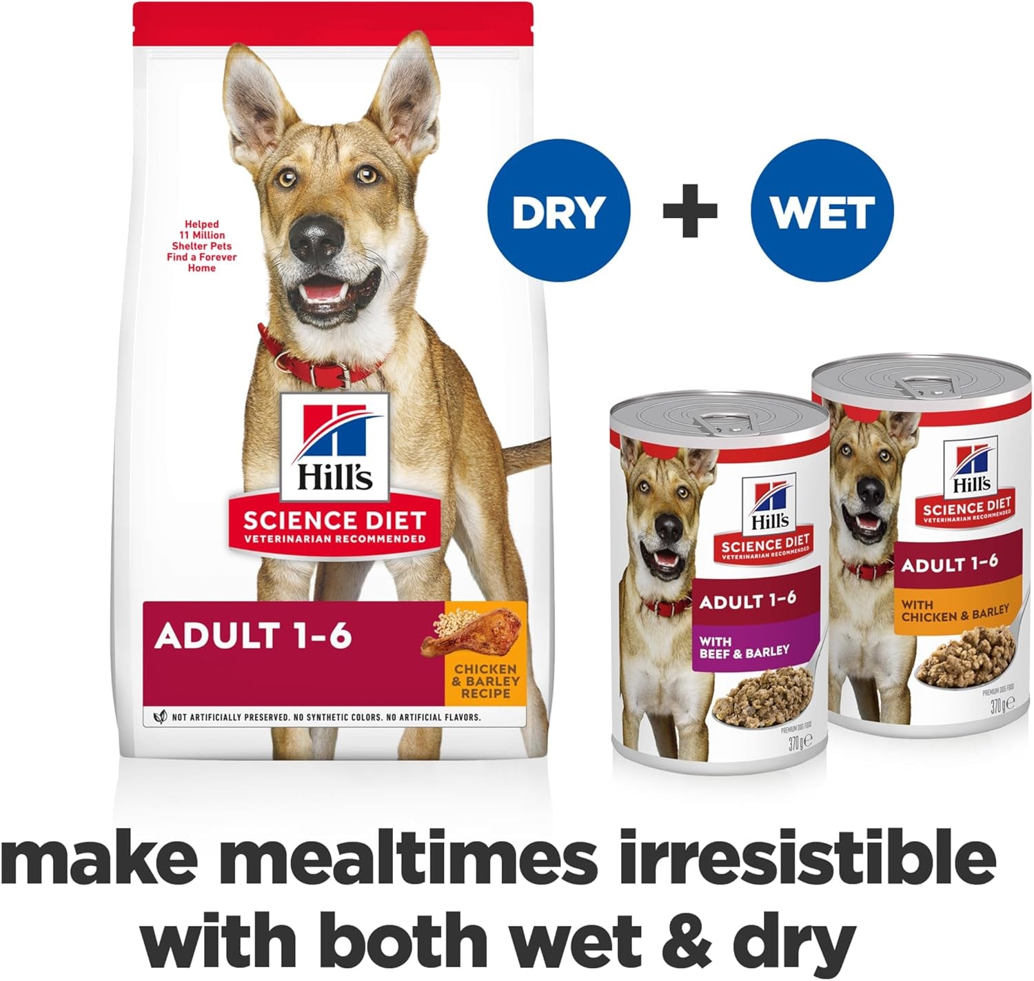 Adult with Beef & Barley Canned Wet Dog Food 12X370G