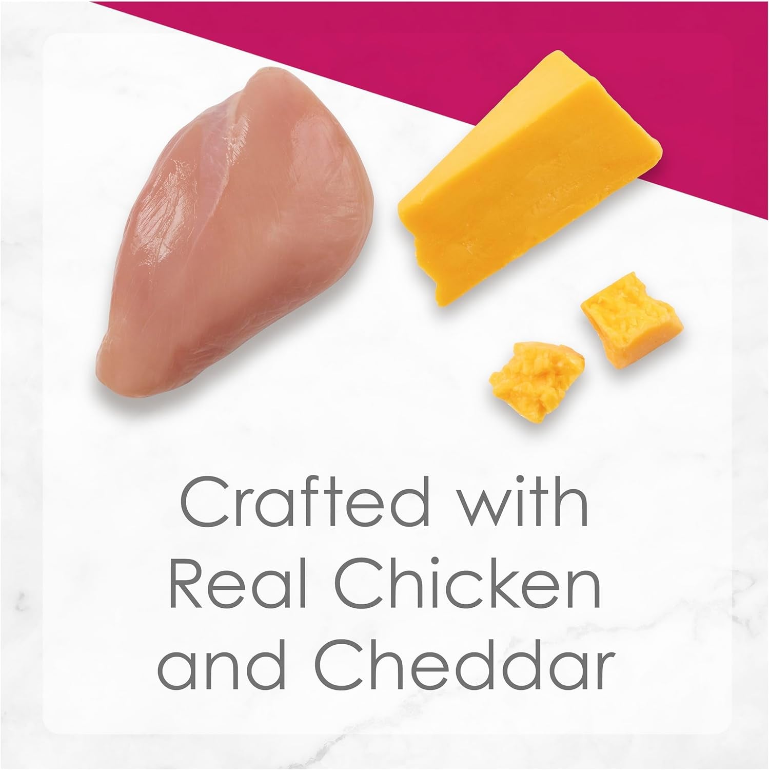 FANCY FEAST Delights with Cheddar Adult Wet Cat Food Grilled Chicken & Cheddar Cheese Feast in Gravy 24X85G