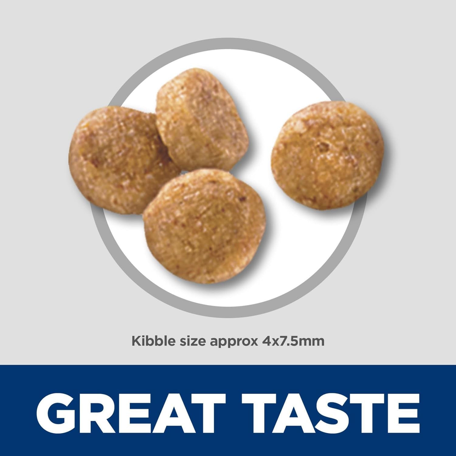 Senior Vitality Adult 7+ Small and Mini, Chicken and Rice Recipe, Dry Dog Food for Older Dogs, 1.58Kg Bag