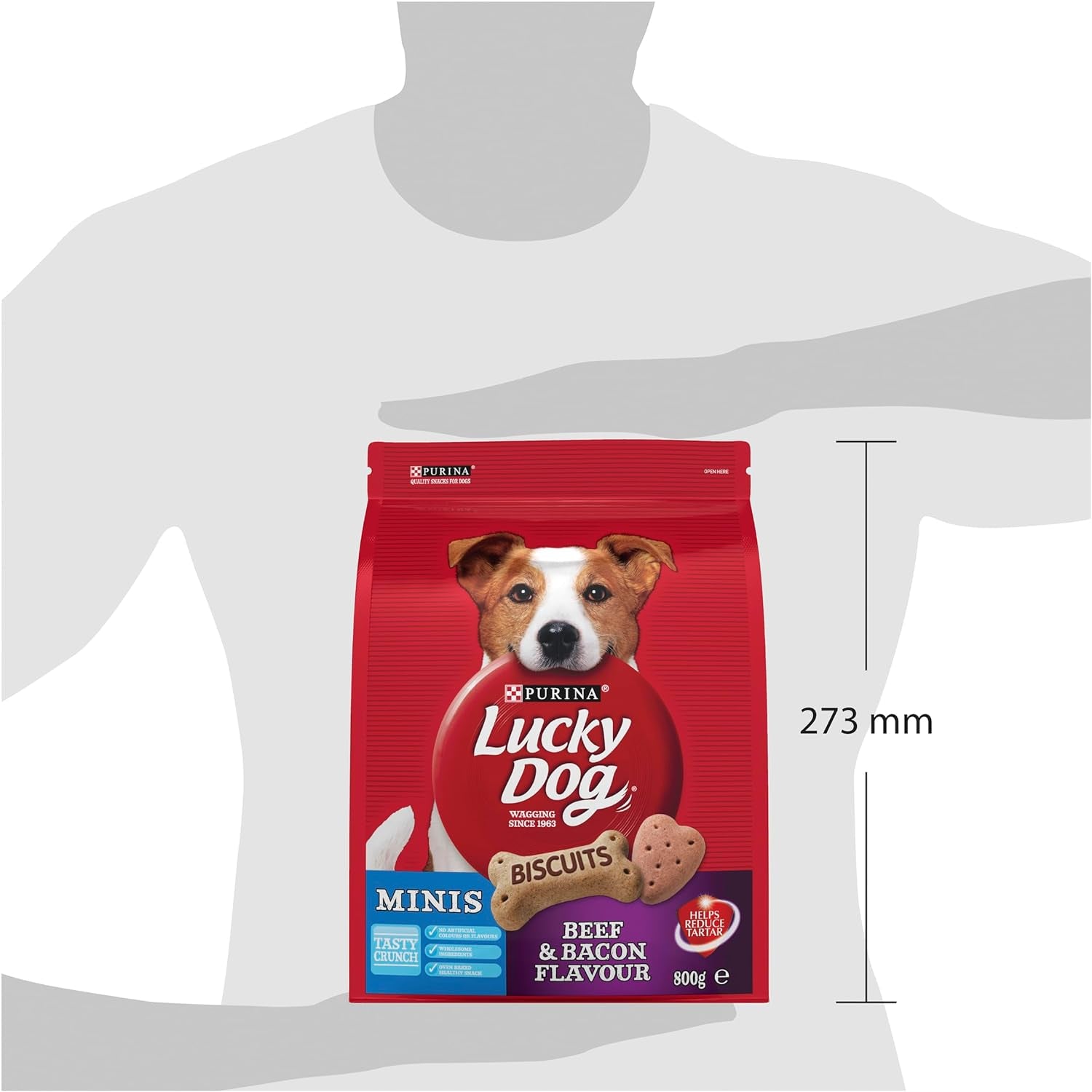 Adult Dog Dog Treats Mini Beef and Bacon 800G