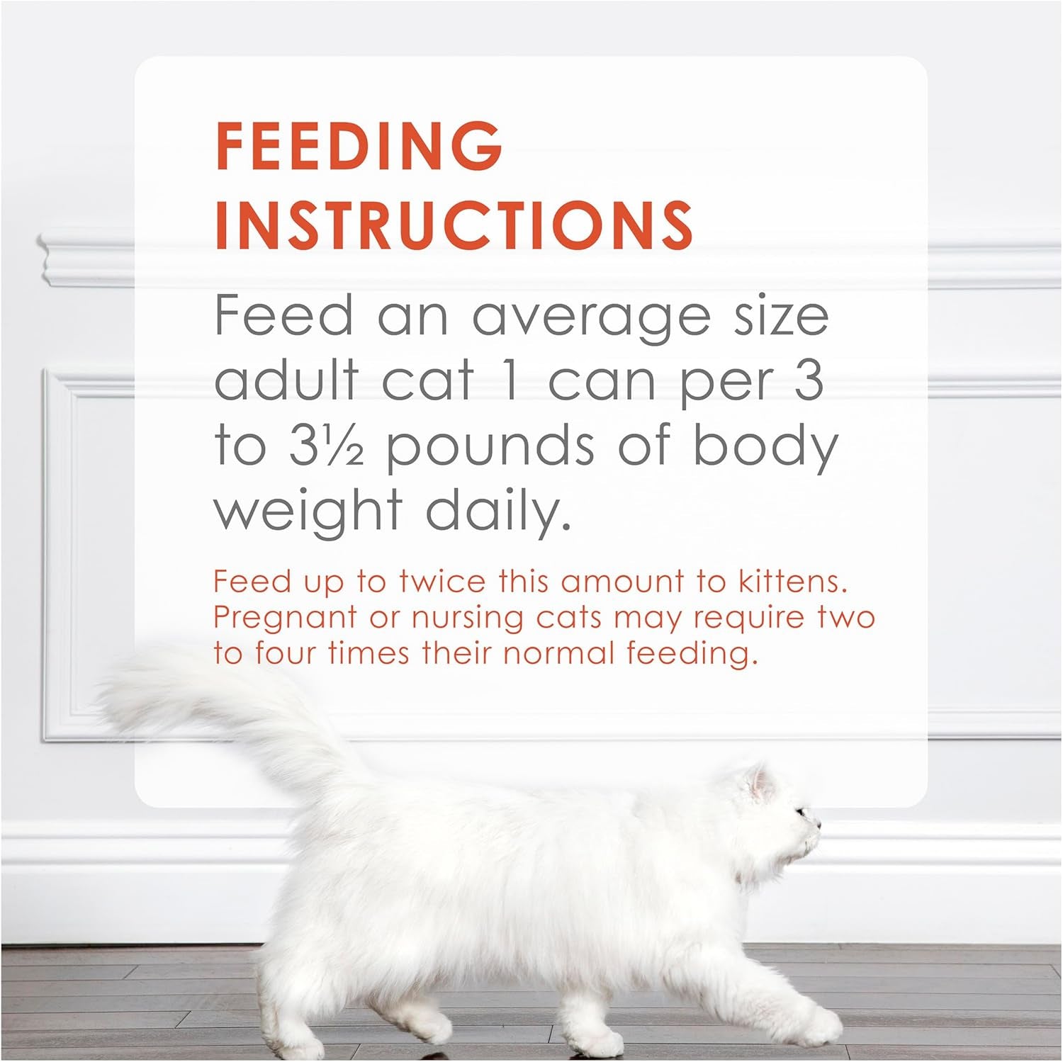 FANCY FEAST Adult Savoury Salmon Pate Wet Cat Food 24X85G