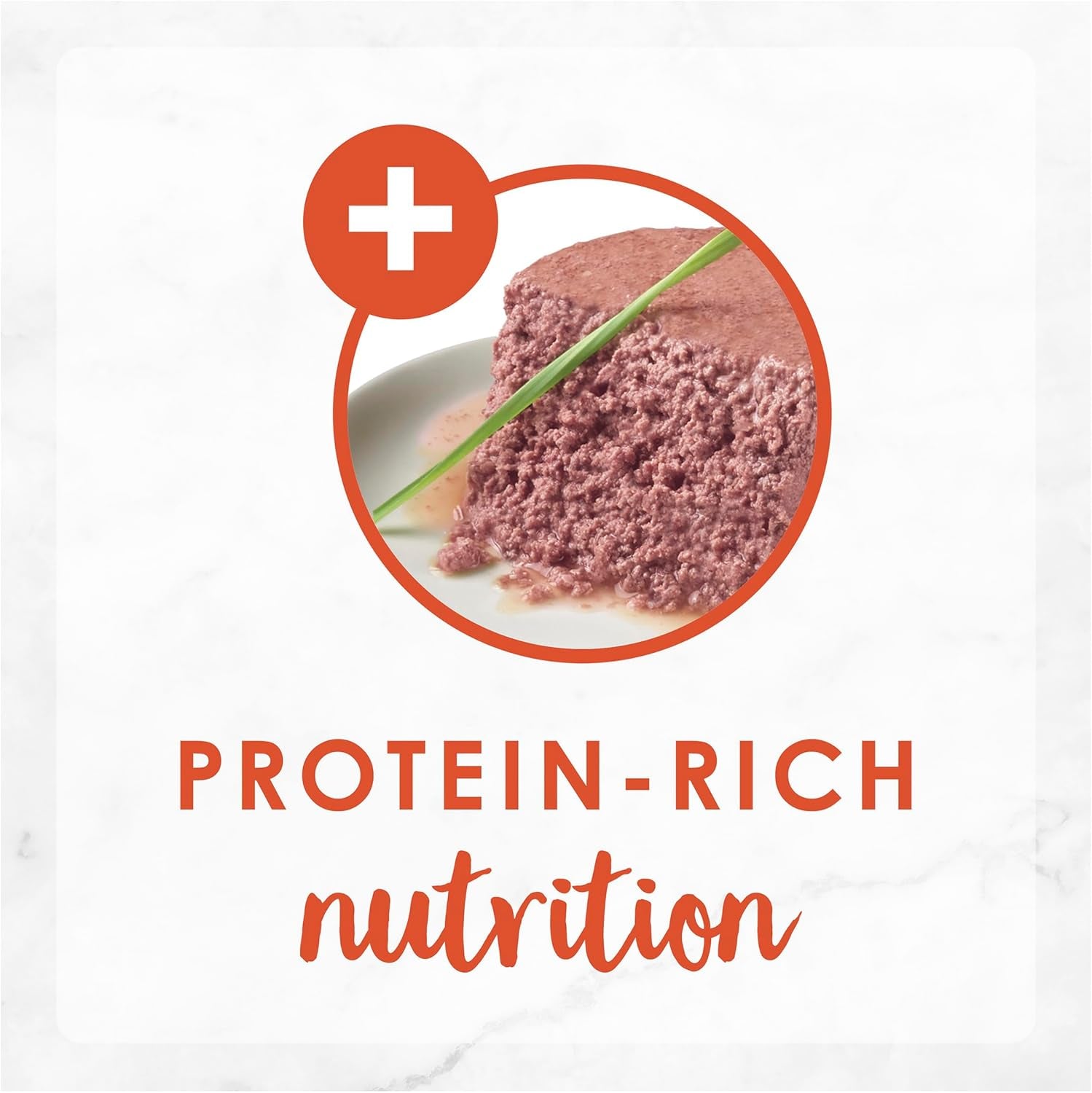 FANCY FEAST Adult Savoury Salmon Pate Wet Cat Food 24X85G