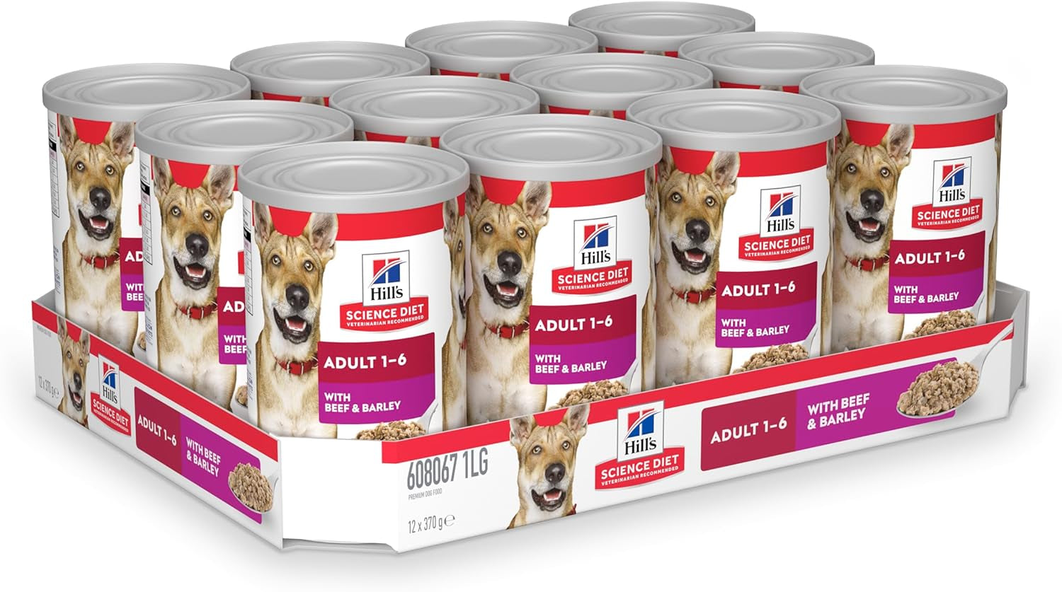 Adult with Beef & Barley Canned Wet Dog Food 12X370G