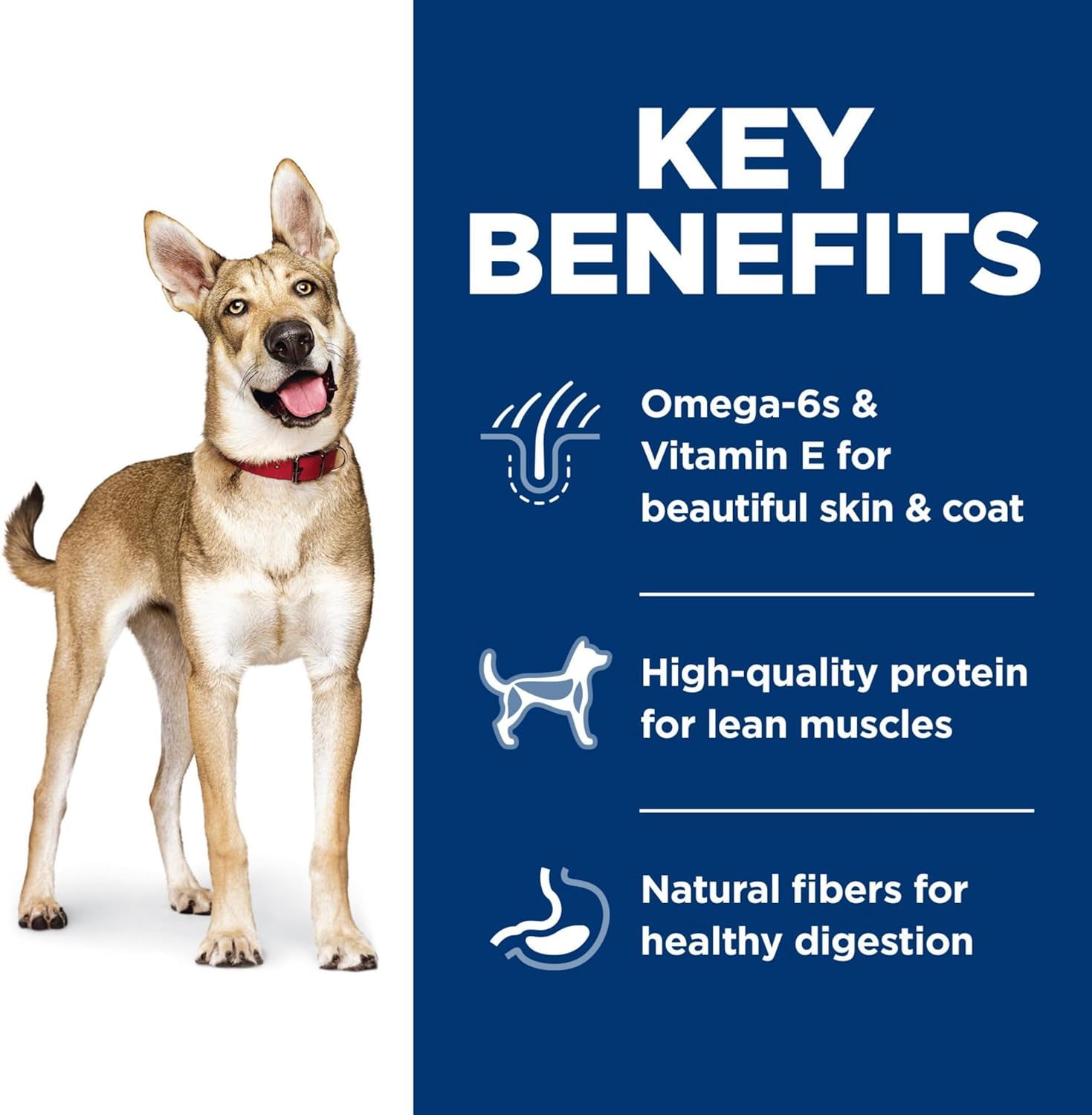 Hill'S 2036 Adult Lamb Meal and Brown Rice Dry Dog Food, 14.97 Kg