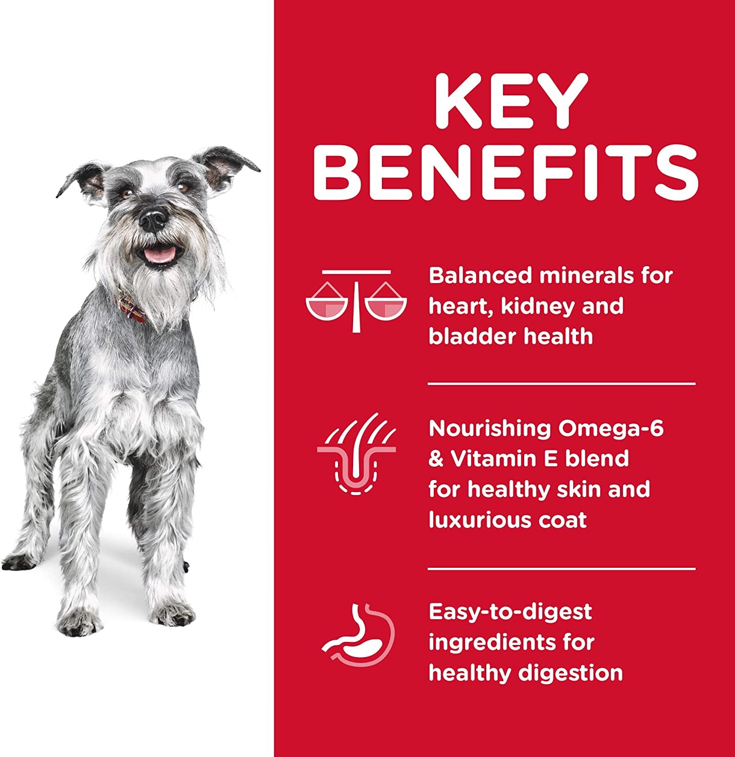 Senior Adult 7+ Small Paws, Chicken Meal, Barley and Brown Rice Recipe, Dry Dog Food for Older Small & Toy Breed Dogs, 1.5Kg Bag