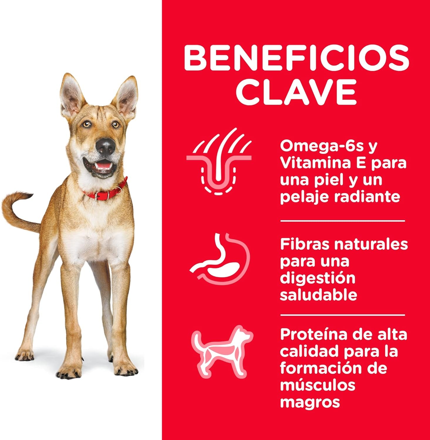 Adult, Chicken & Barley Recipe, Dry Dog Food, 7.5Kg Bag