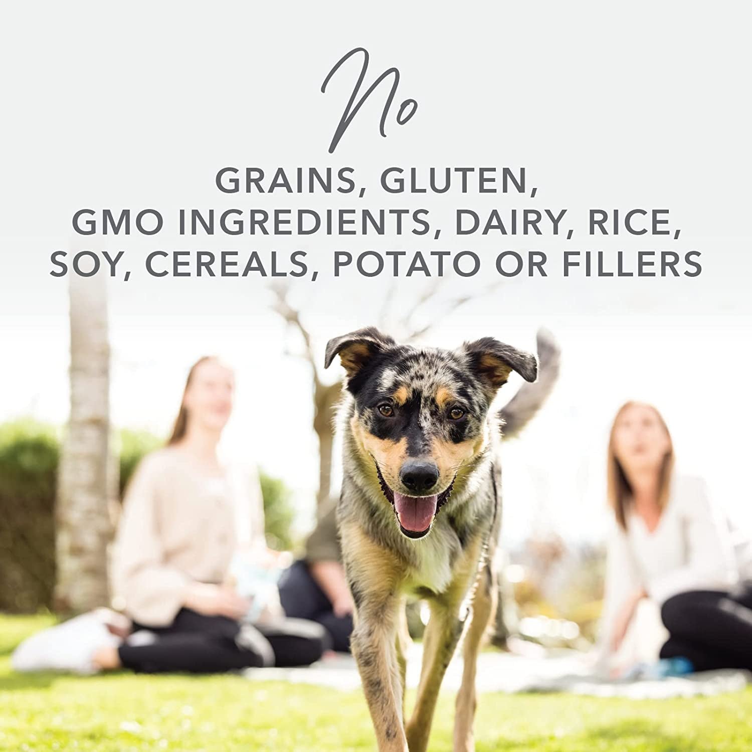 Grain-Free Freeze Dried Dog Food Topper or Meal Mixer (Lamb)