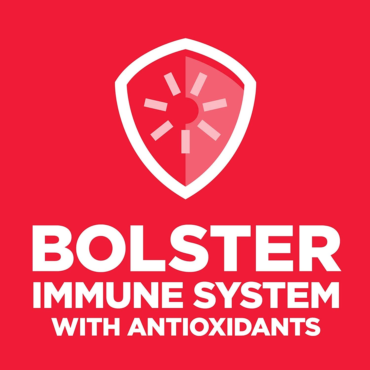 Senior Adult 11+ Small Paws, Chicken Meal, Barley and Brown Rice Recipe, Dry Dog Food for Older Small and Toy Breed Dogs, 2.04Kg Bag