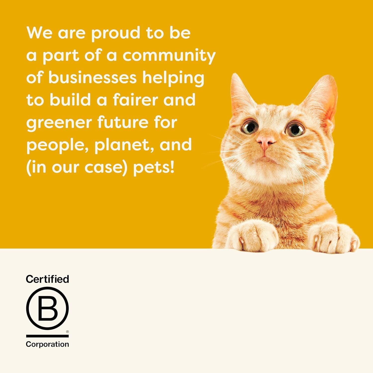 100% Natural Wet Cat Food Chicken Breast in Broth, Limited Ingredients Pet Food 70G Tin (Pack of 24)