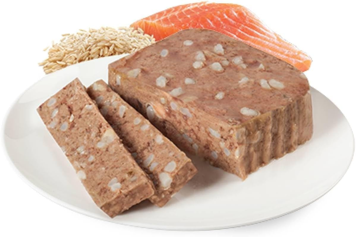 Salmon and Rice Wet Dog Food 100 G (Pack of 6)