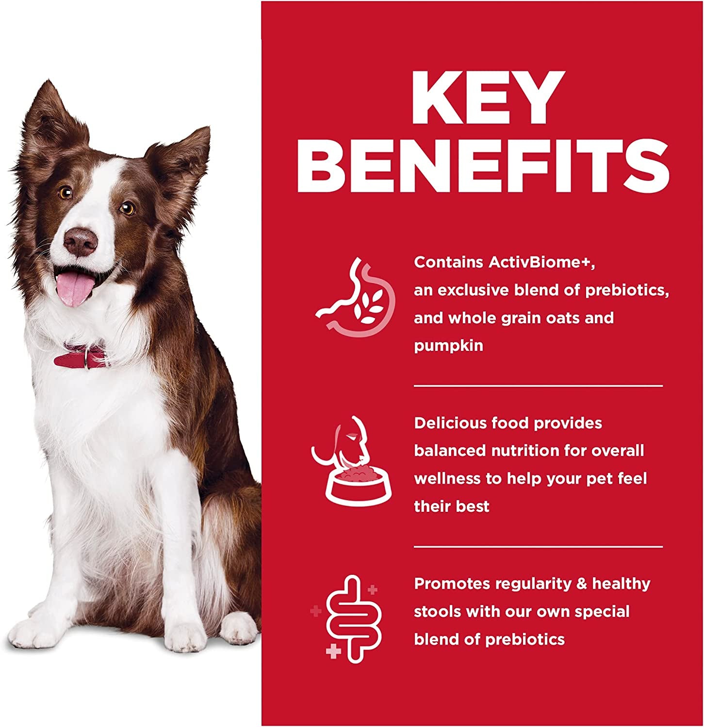 Perfect Digestion Adult Dry Dog Food 9.98Kg