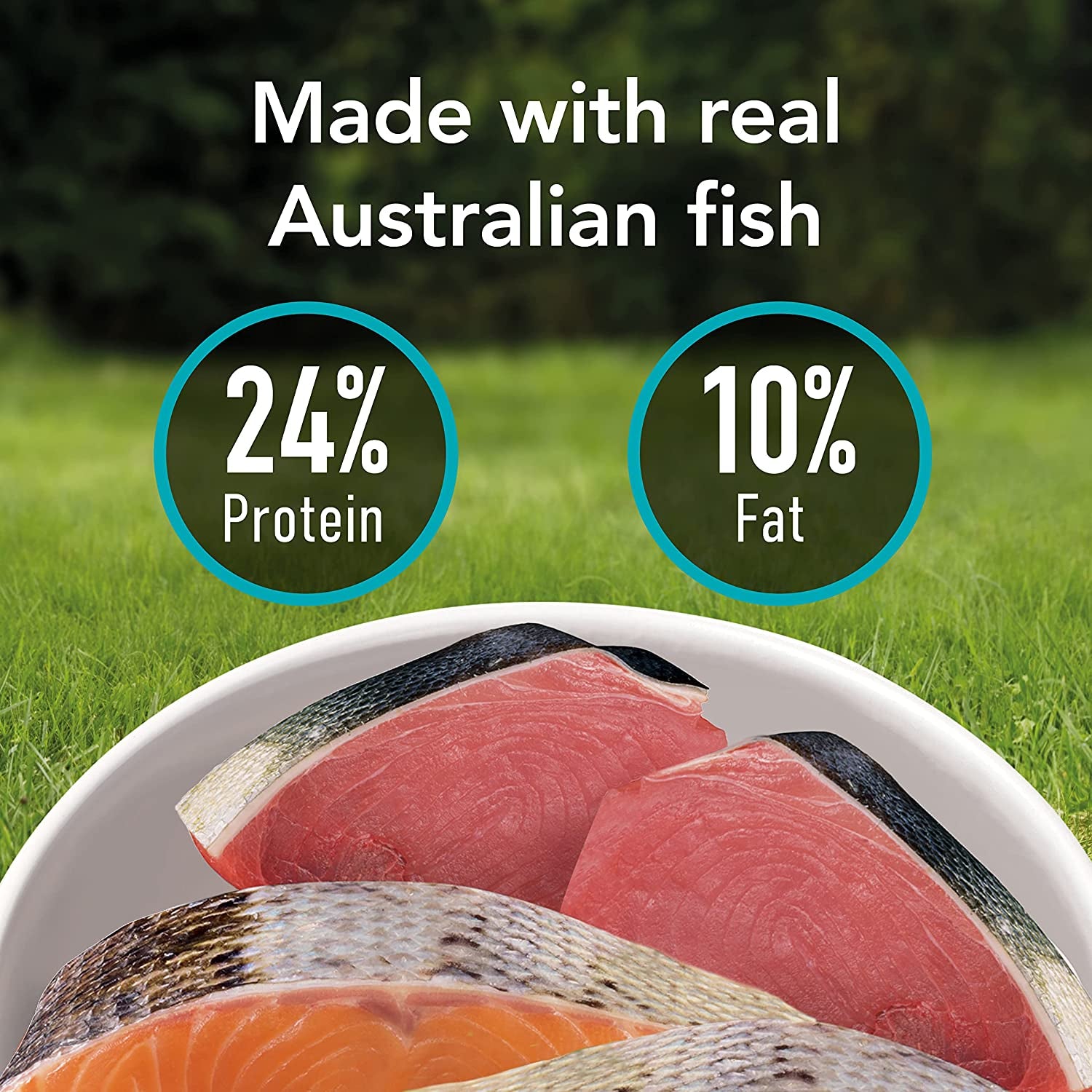 SMARTBLEND Adult Dry Dog Food Fish 15Kg