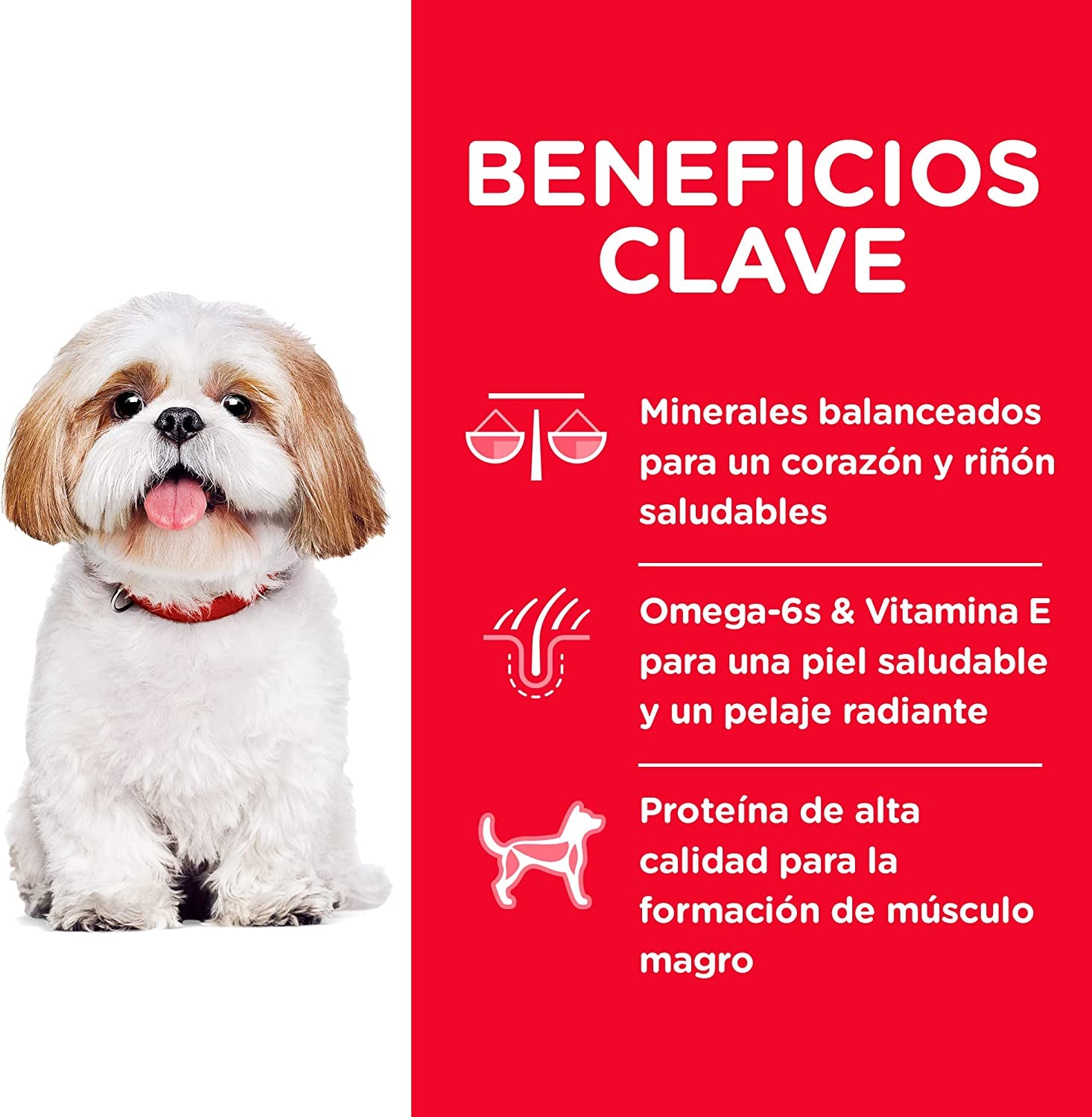 Hill'S 10334 7 plus Small Bites Chicken Meal Barley and Brown Rice Recipe Dry Dog Food, 2 Kg