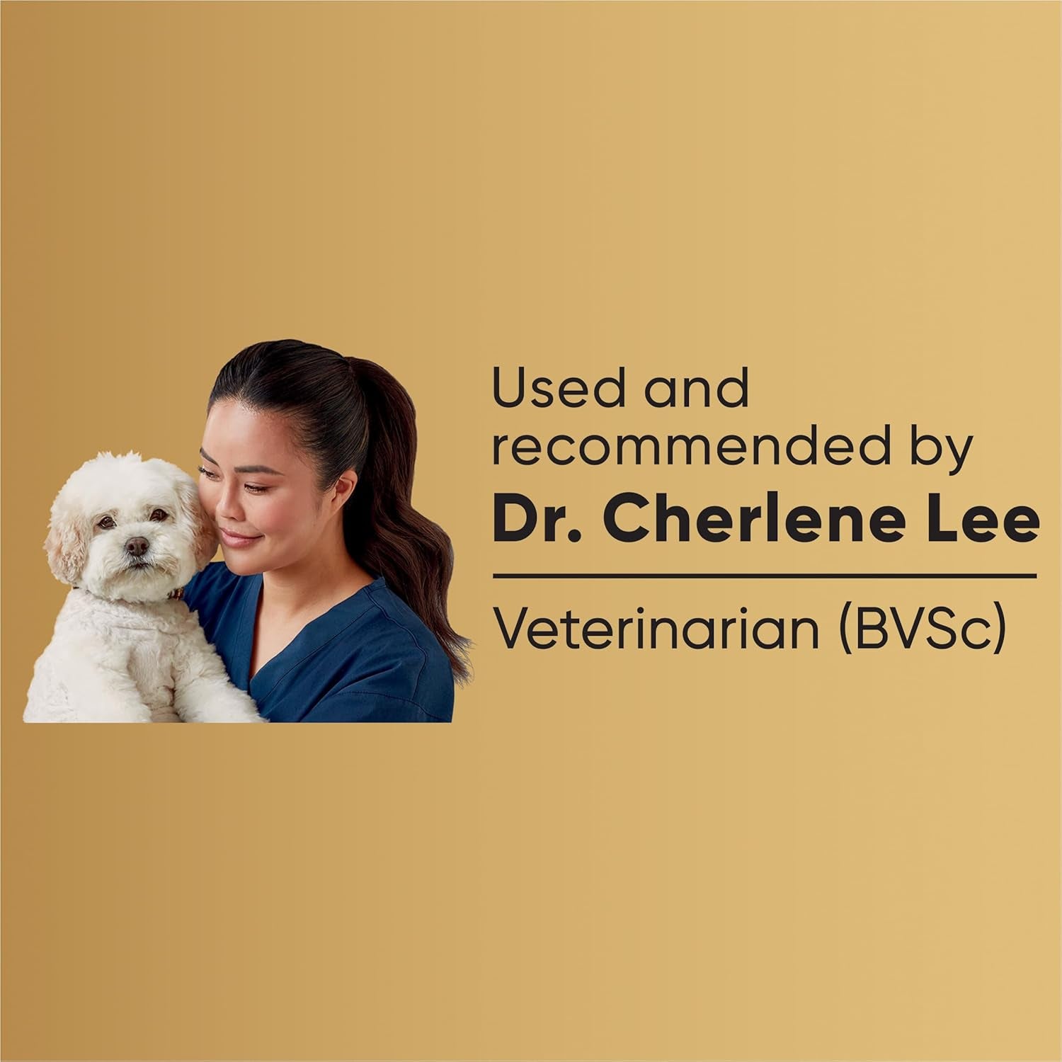 Chicken & Rice Adult Dry Dog Food 12 Trays 12 Can Medium