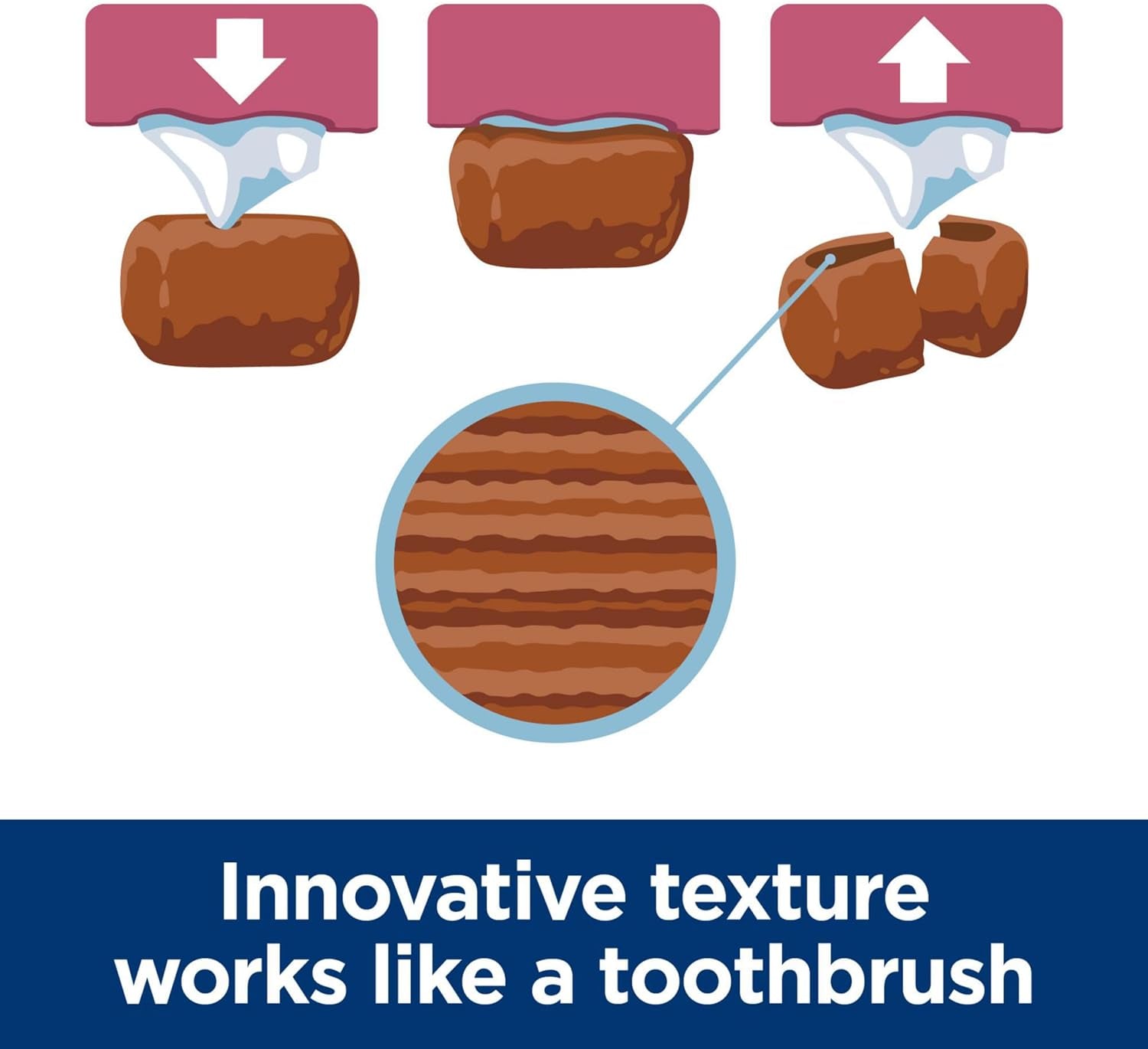 Hill’S Science Diet Adult Oral Care Small & Mini Dry Dog Food 1.81Kg