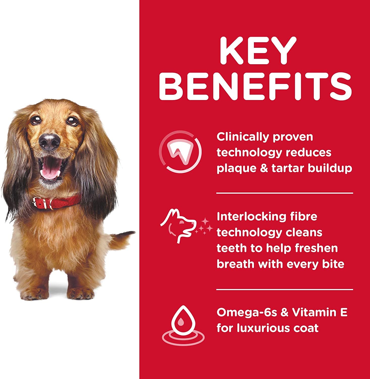 Adult Oral Care Chicken, Rice & Barley Recipe Dry Dog Food 2Kg Bag