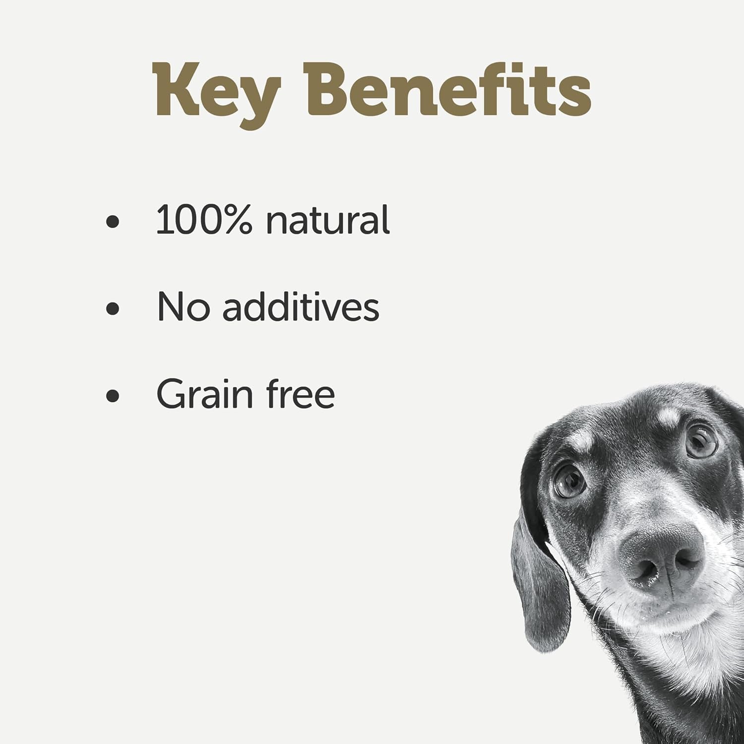 Taste Toppers 100% Natural Wet Dog Food Chicken Breast with Lamb in Gravy Tin 156G (Pack of 16), Limited Ingredients Pet Food