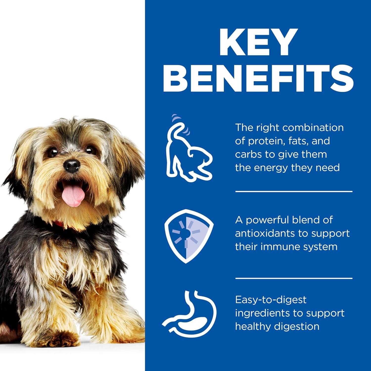 Adult Small & Mini with Chicken Canned Wet Dog Food 12X200G