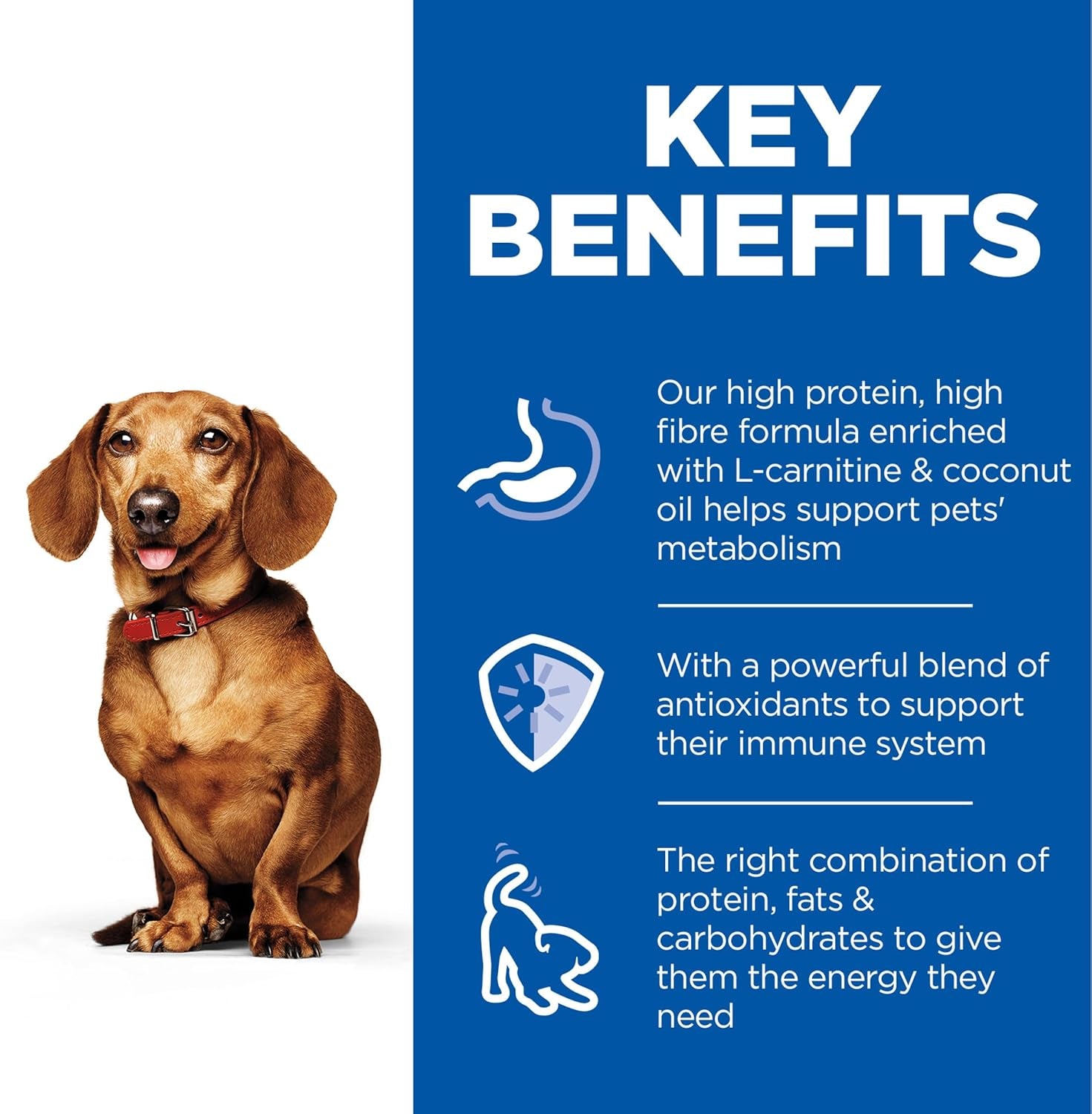 Perfect Weight Small & Mini with Turkey Canned Dog Food 12X200G