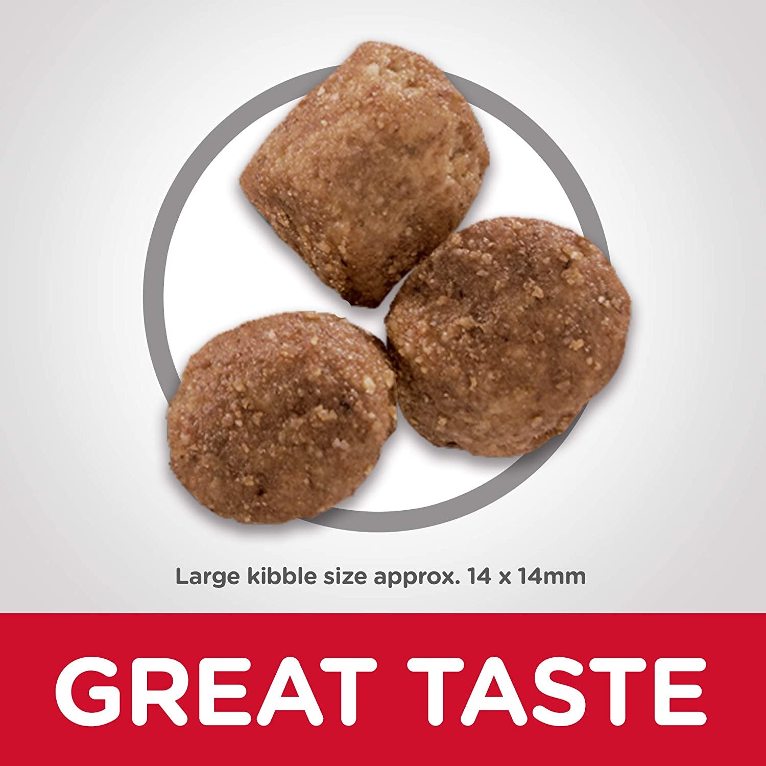 Adult Healthy Mobility Large Breed Dry Dog Food 12Kg