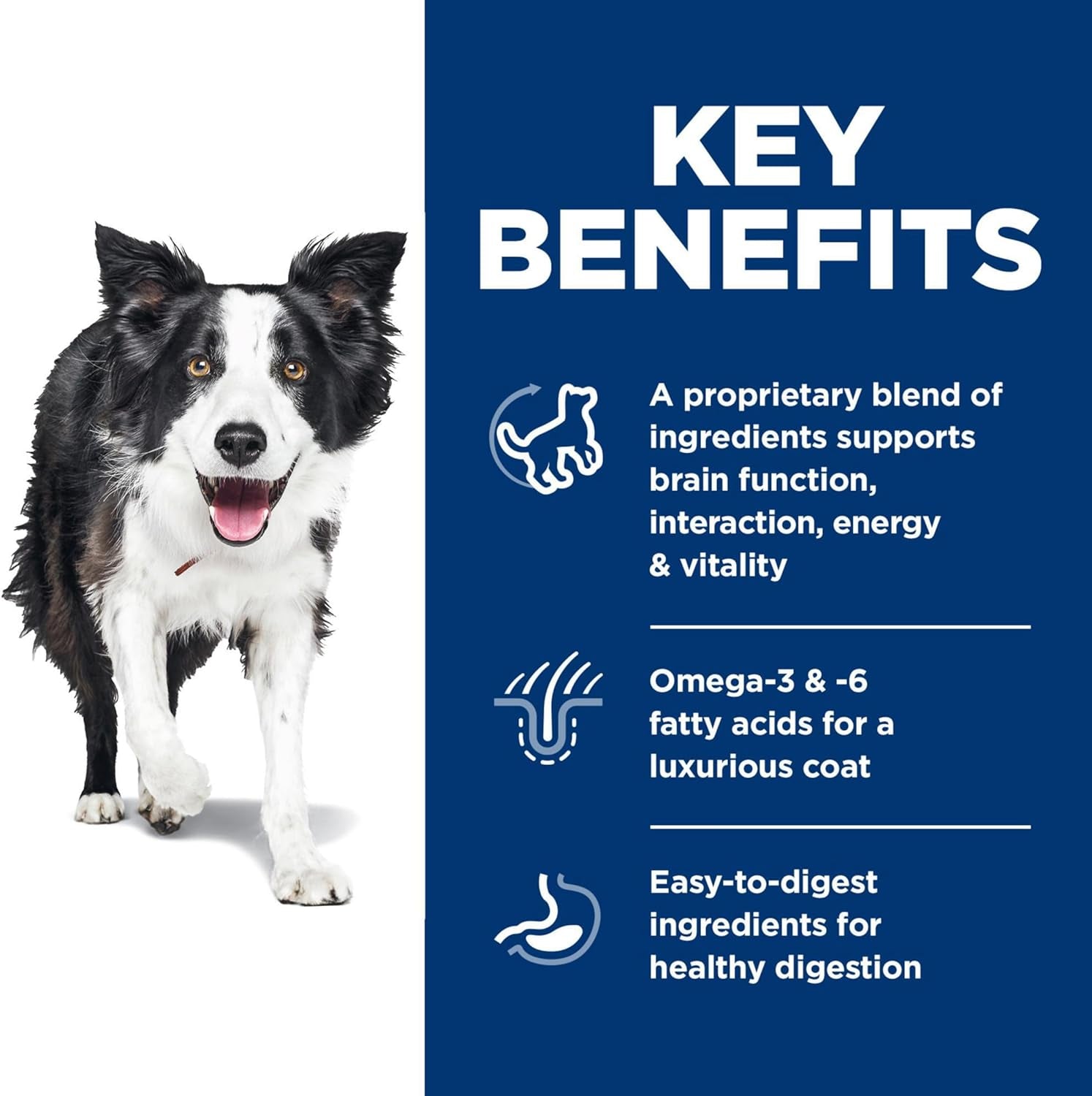 Hill'S 10773 Adult 7 plus Senior Vitality Chicken and Rice Recipe Dog Food, 5.67 Kg