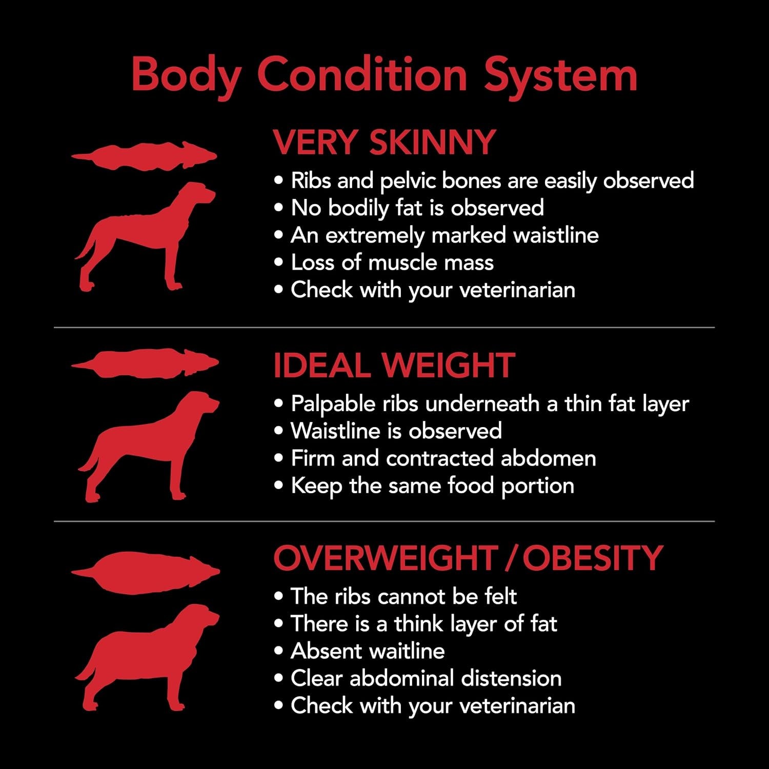 SUPERCOAT SMARTBLEND Adult Dry Dog Food Chicken 18Kg