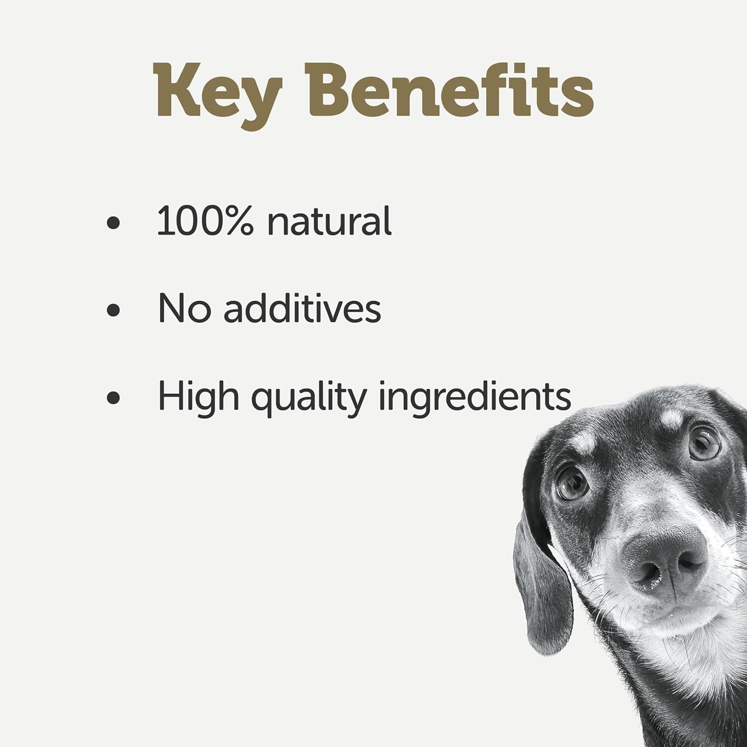 Taste Toppers 100% Natural Wet Dog Food Chicken Breast with Beef Liver & Vegetables in Broth Tin 156G (Pack of 16), Limited Ingredients Pet Food