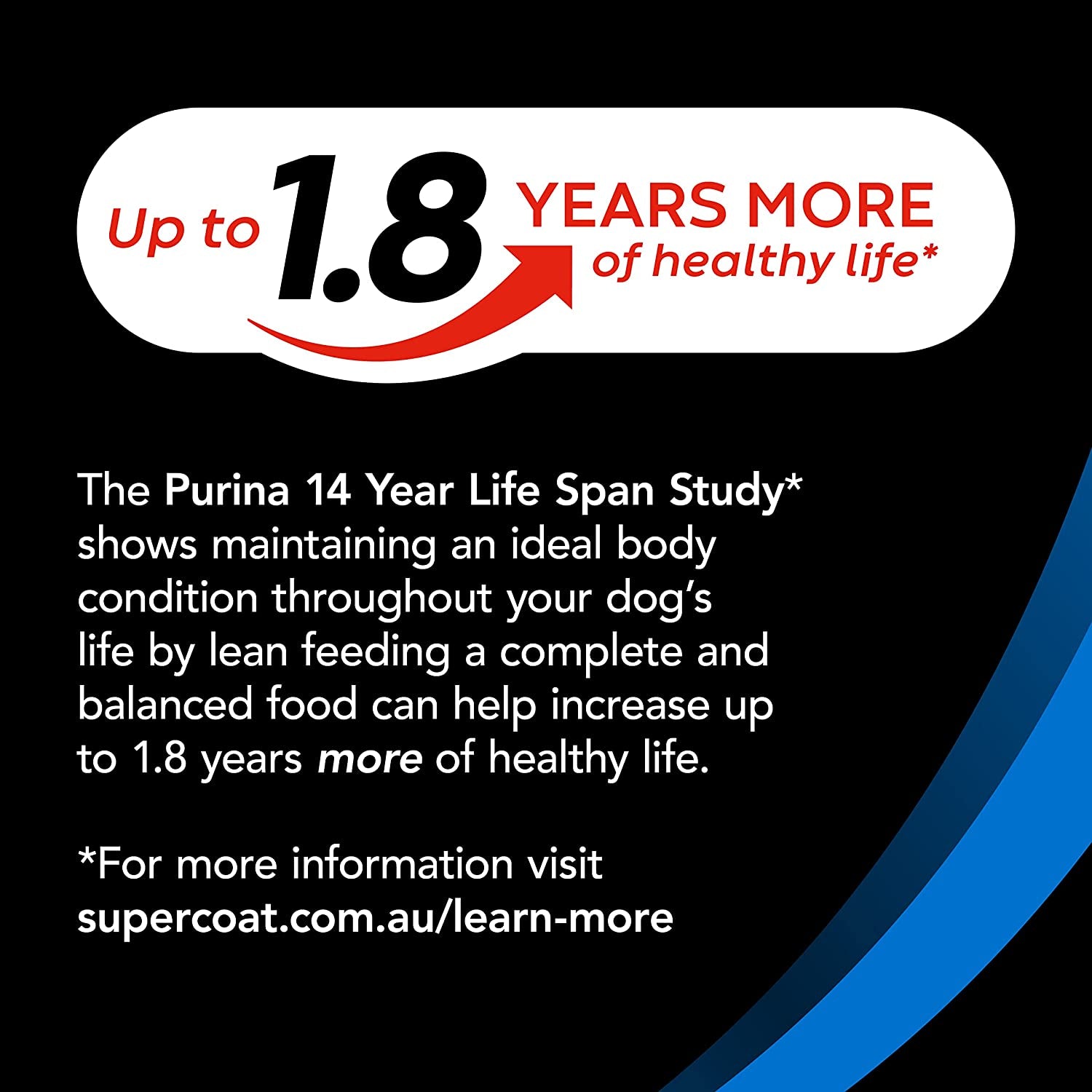 SMARTBLEND Senior Dry Dog Food Fish 2.6Kg