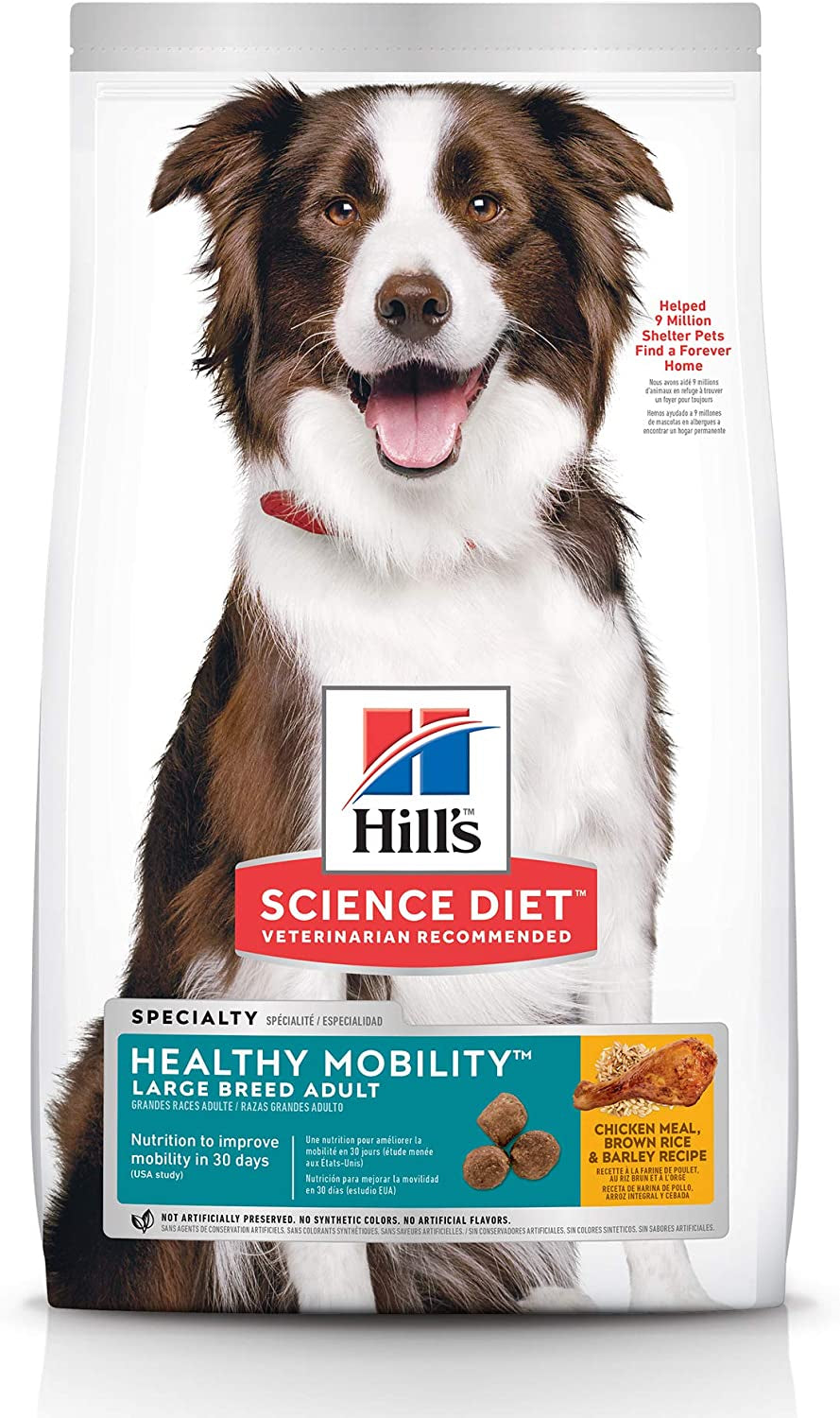 Adult Healthy Mobility Large Breed Dry Dog Food 12Kg