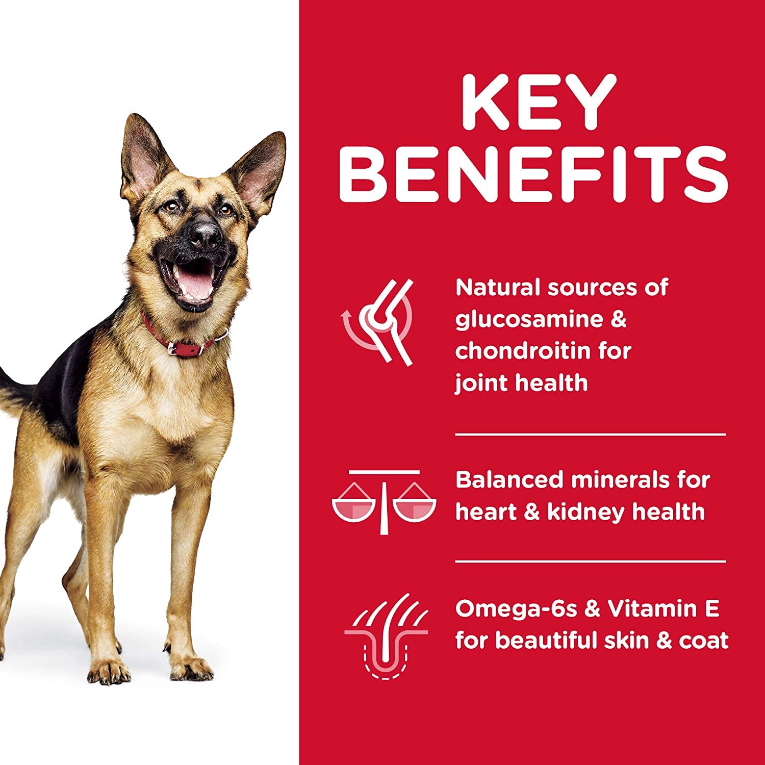 6+ Large Breed Chicken Dry Dog Food 12Kg