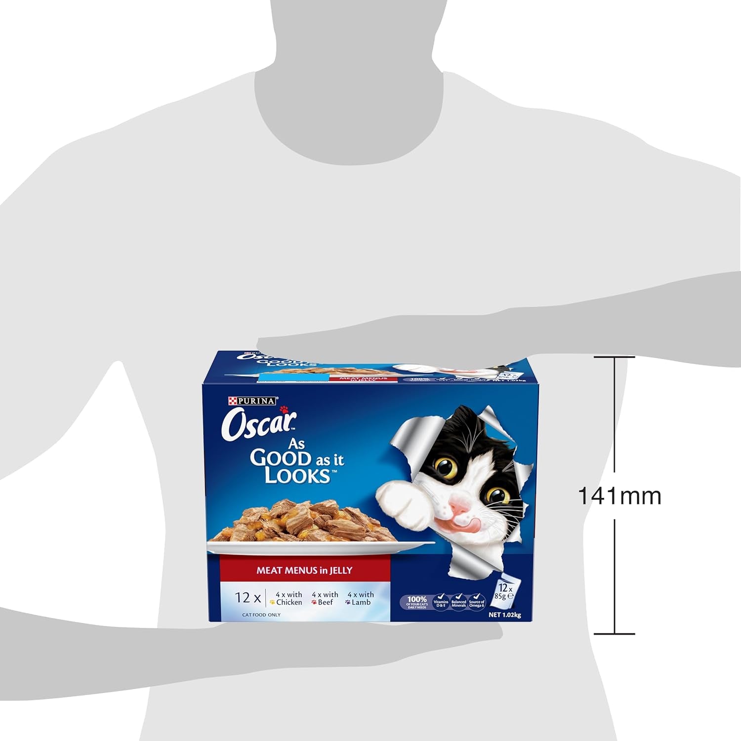 as Good as It Looks Adult Wet Cat Food Meat Menus in Jelly 60X85G