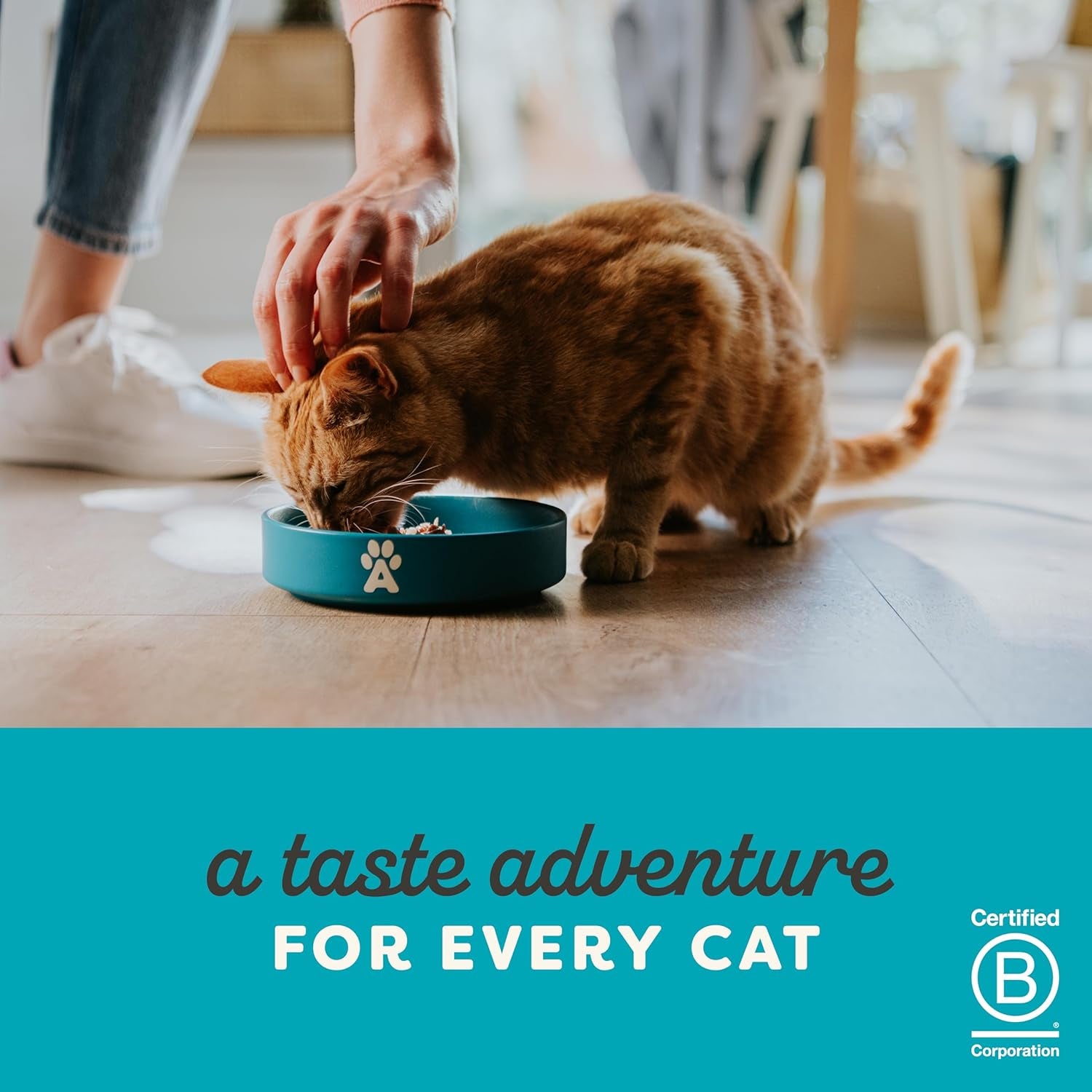 100% Natural Wet Cat Food Chicken Breast in Broth, Limited Ingredients Pet Food 70G Tin (Pack of 24)