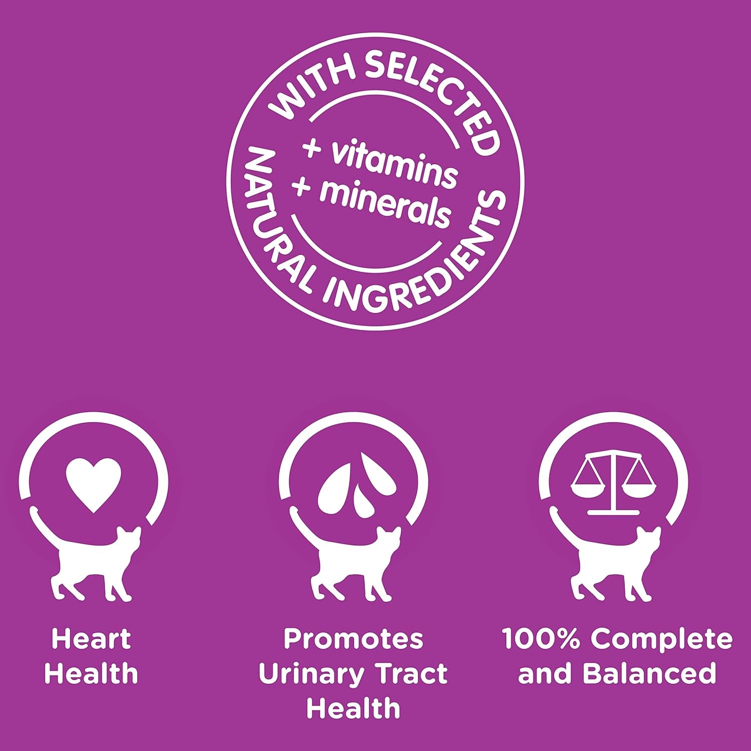 7+ Years Wet Cat Food with Mixed Favourites in Jelly 12 X 85G, 5 Pack (60 Pouches)