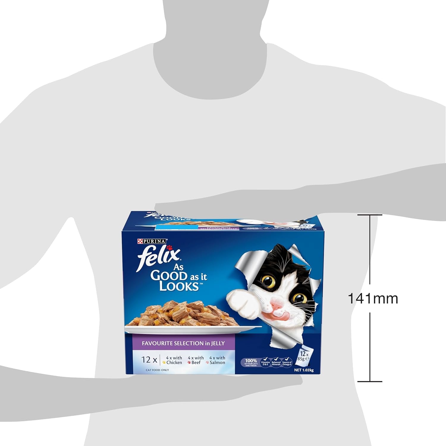 as Good as It Looks Adult Wet Cat Food Favourites Selection 60X85G