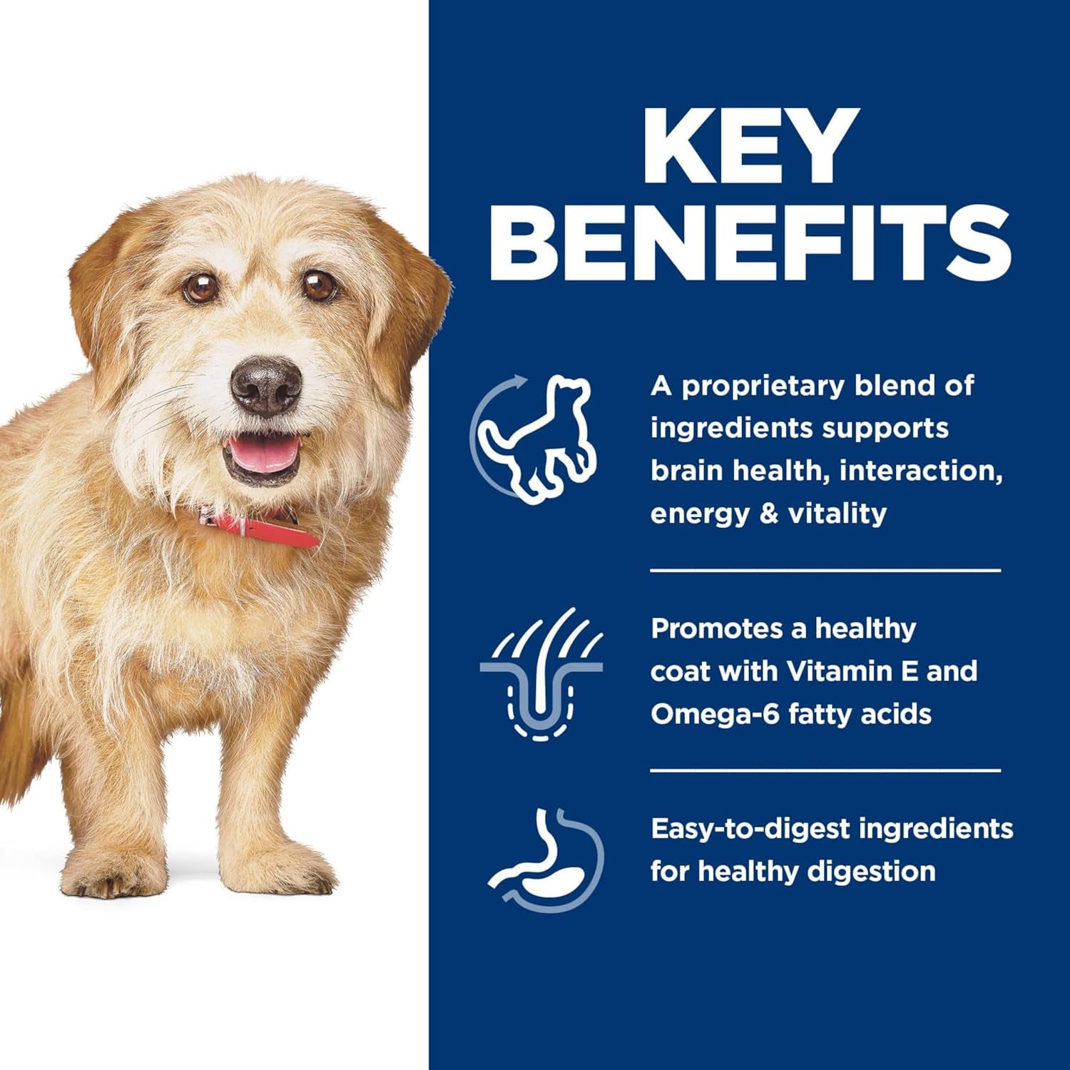 Senior Vitality Adult 7+ Small and Mini, Chicken and Rice Recipe, Dry Dog Food for Older Dogs, 1.58Kg Bag