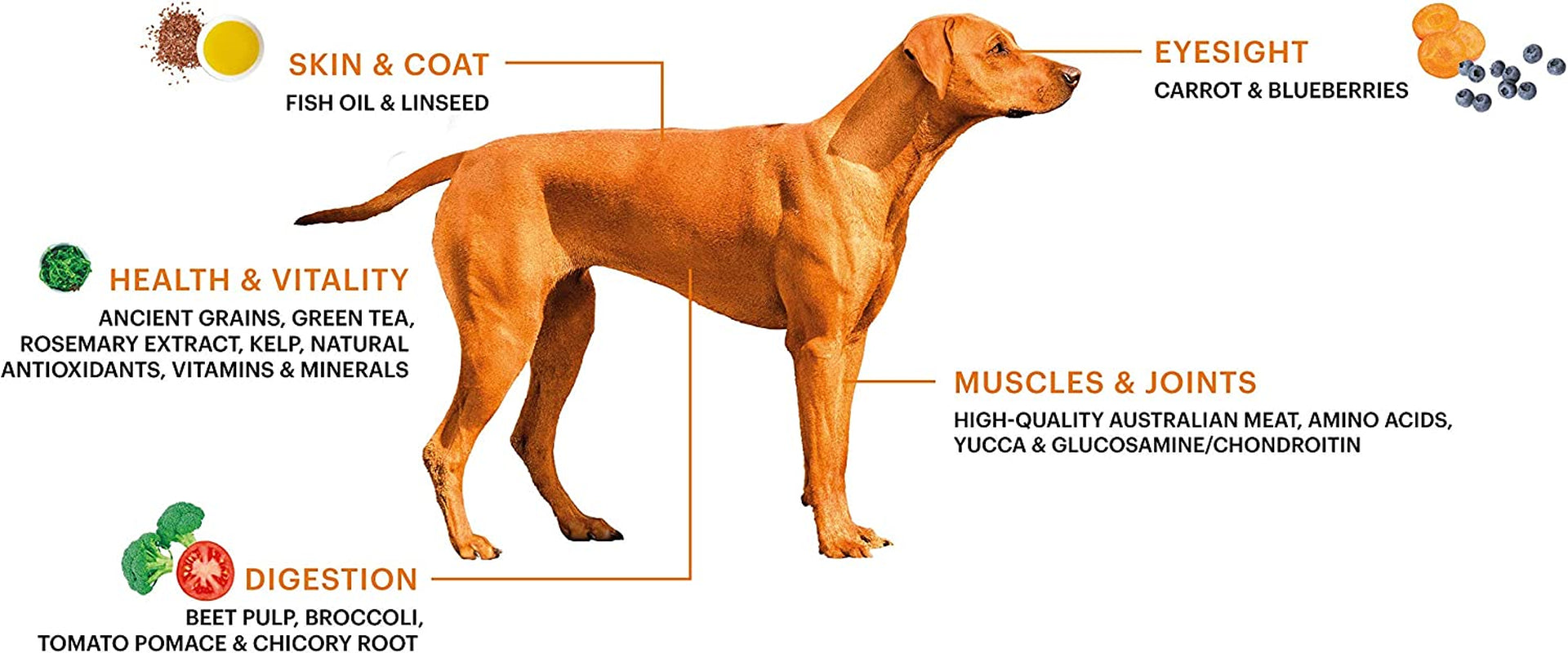 Australian Grain Free Chicken for Adult Dog, 10 Kilograms