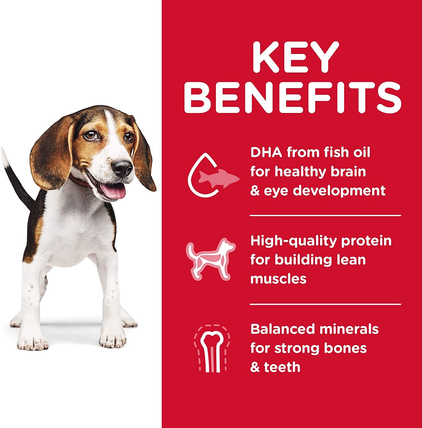 Puppy, Chicken Meal & Barley Recipe, Dry Dog Food for Medium Breed Dogs, 3Kg Bag