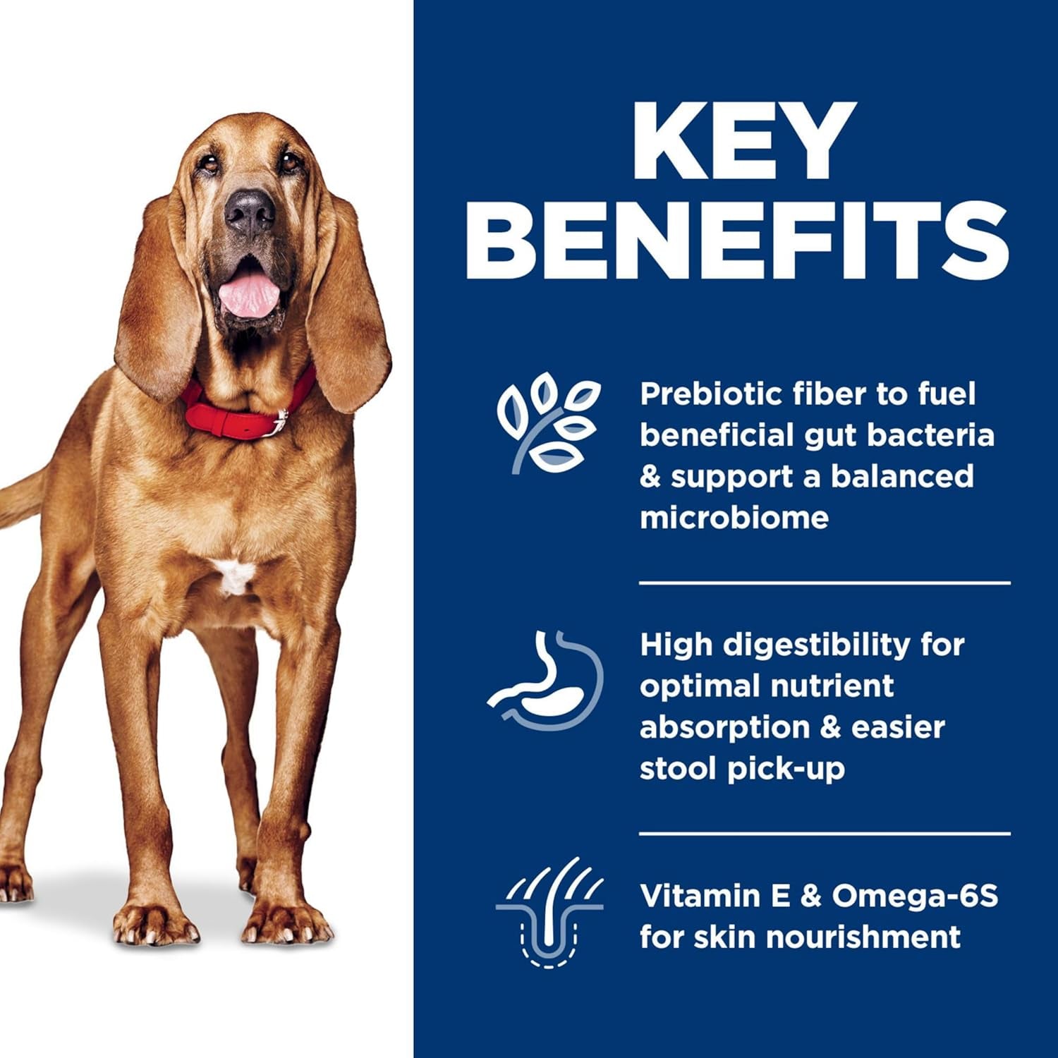 Sensitive Stomach and Skin Adult Large Breed, Chicken Recipe, Dry Dog Food, 13.6Kg Bag