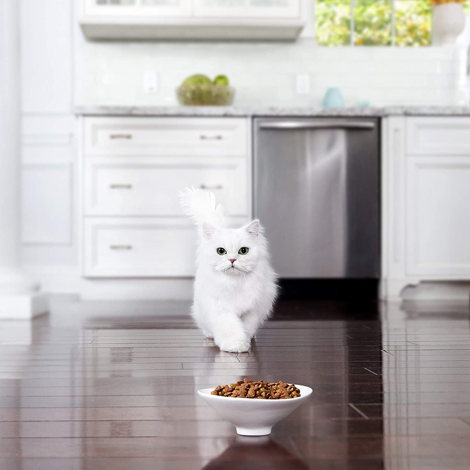 Fancy Feast Beef Salmon & Cheese X 1.4Kg