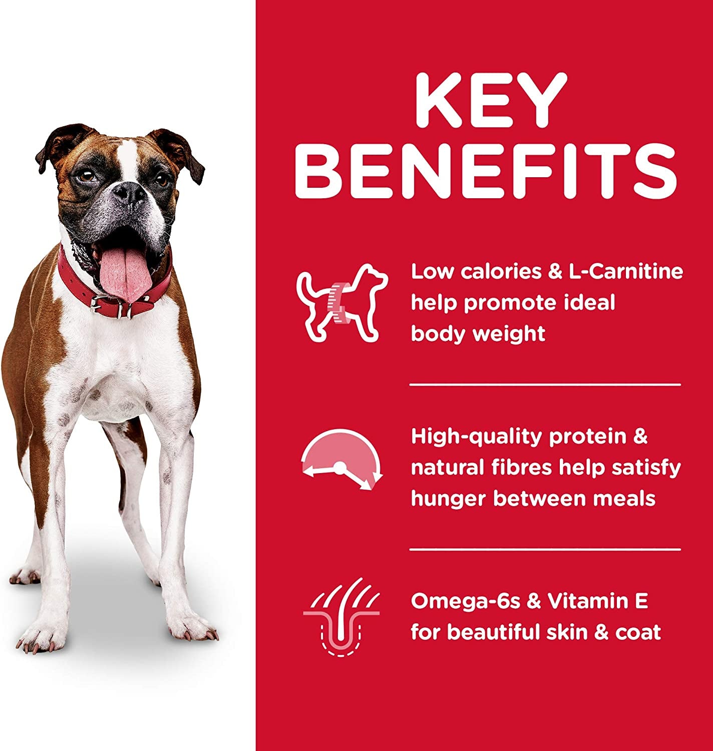 Light Adult, Chicken Meal & Barley Recipe, Low Calorie Dry Dog Food for Healthy Weight & Management, 12Kg Bag