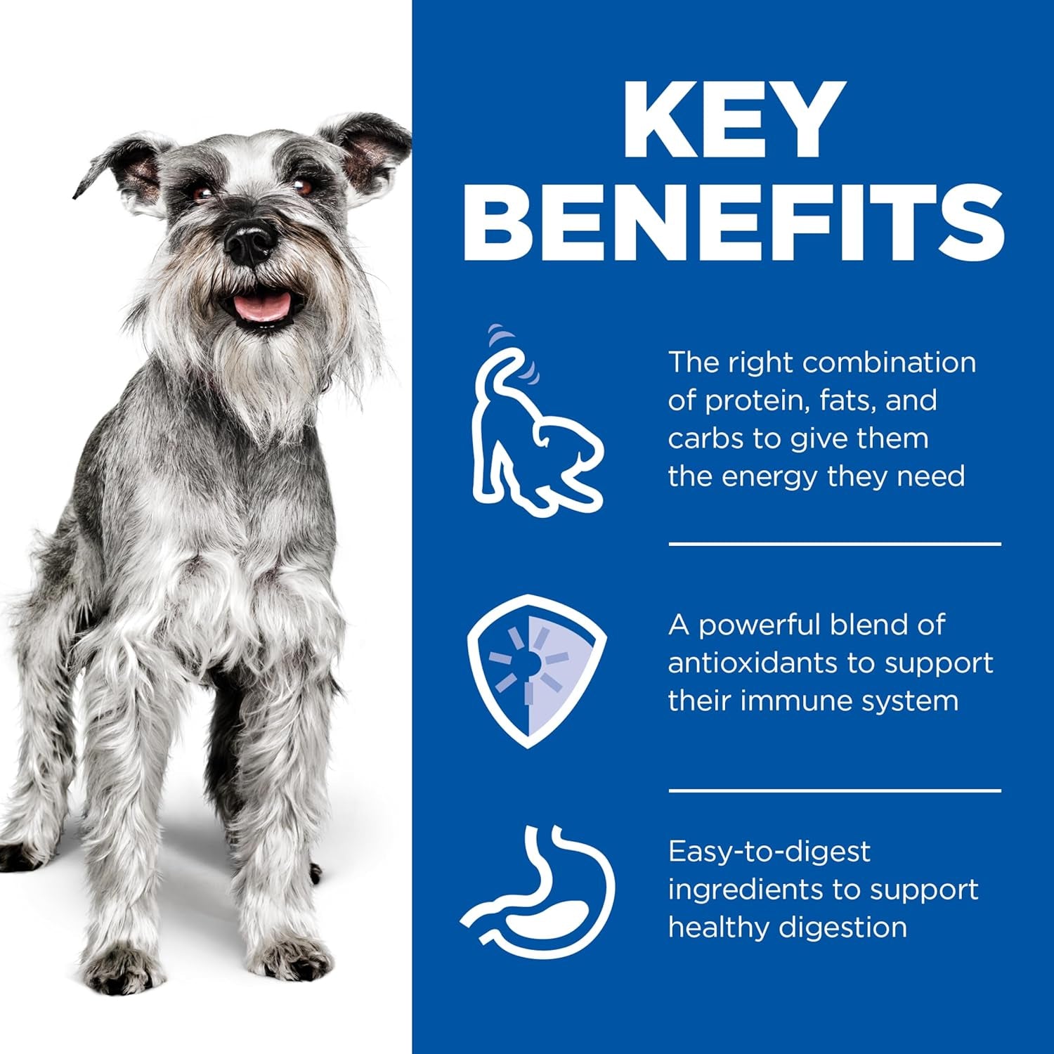 Adult 7+ Senior Small & Mini with Chicken Canned Wet Dog Food 12X200G