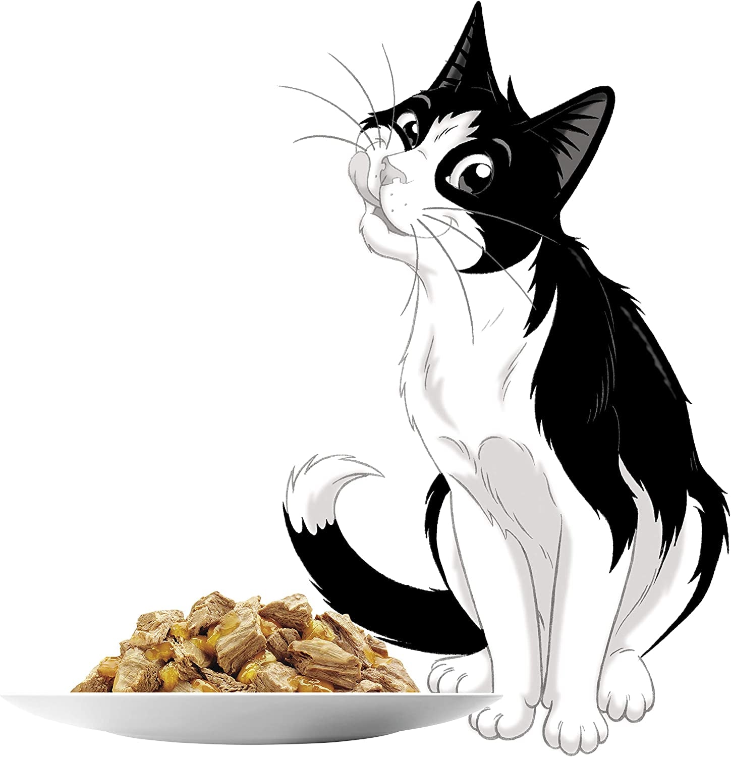 as Good as It Looks Adult Wet Cat Food Favourites Selection 60X85G